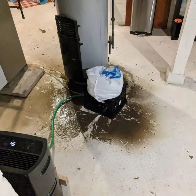 Sewage Backup Cleanup Service in Barbour County, AL